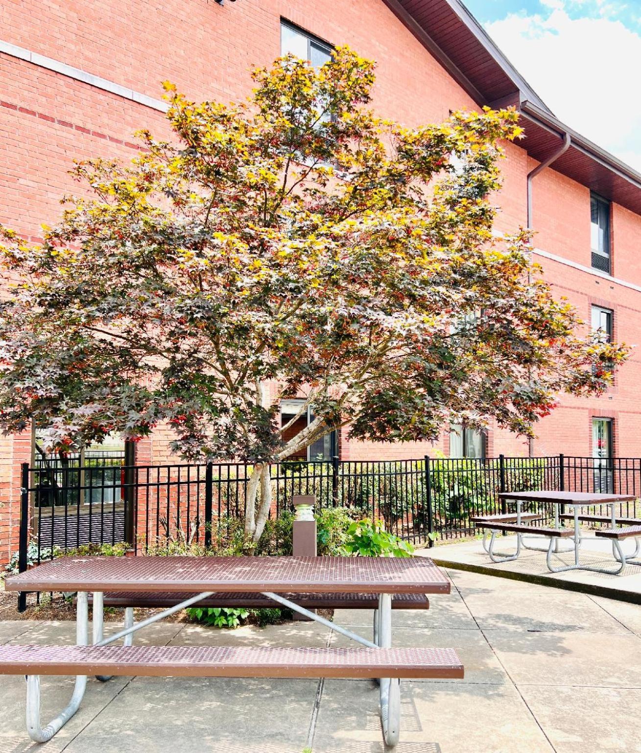 Mainstay Suites Little Rock West Near Medical Centers Exteriér fotografie
